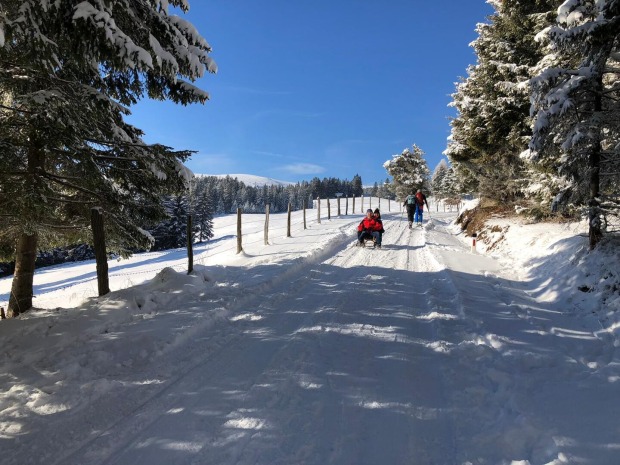 Menschen fahren mit Schlitte bei schönem Wetter in der Natur