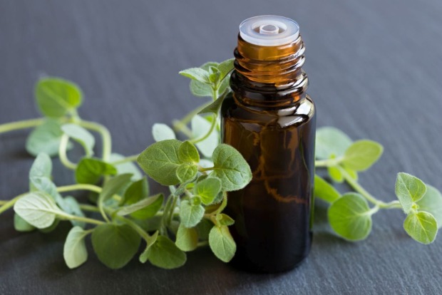 Eine kleine Flasche mit Oregano-Gewürz.