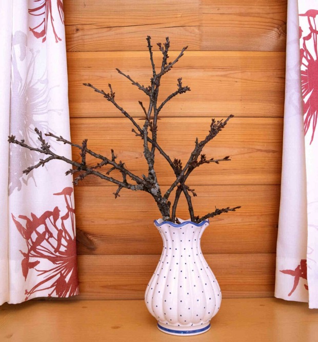 Barbarazweige in einer Vase.