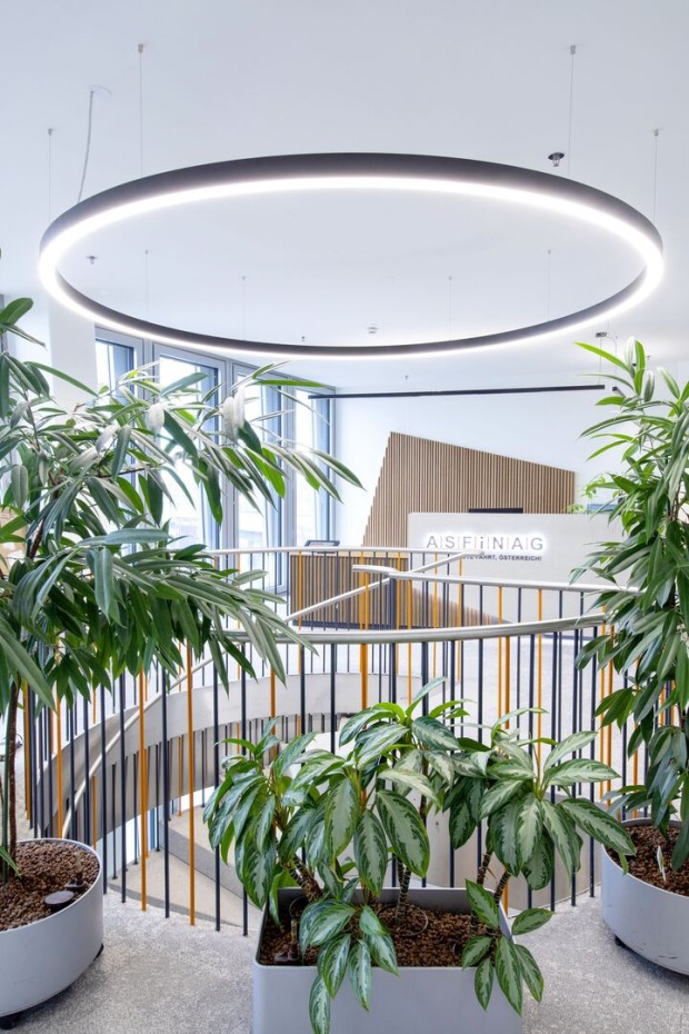 Büro-Stiegenaufgang mit vielen Pflanzen | Julia Grandegger