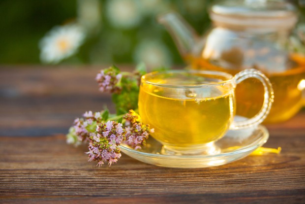 Tee aus Katzenminze | Credit: iStock.com/Solstizia