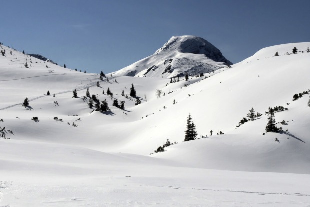 Ybbstaler Alpen | Credit:  Ernst Weingartner / Weingartner-Foto / picturedesk.com
