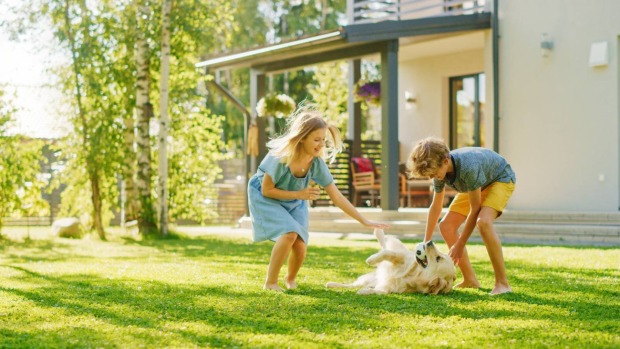 Kinder spielen mit dem Hund an einem sonnigen Tag im Garten