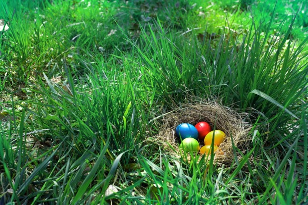 Osternest in der Wiese | Credit: iStock.com/Muenz