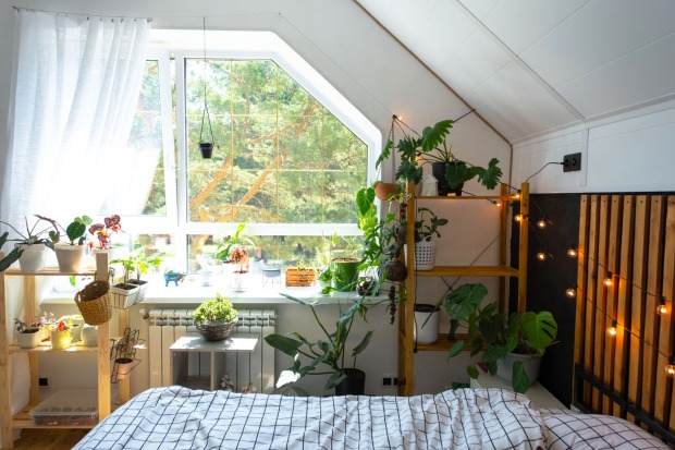 Pflegezimmer mit Pflanzen | Credit: iStock.com/Ольга Симонова