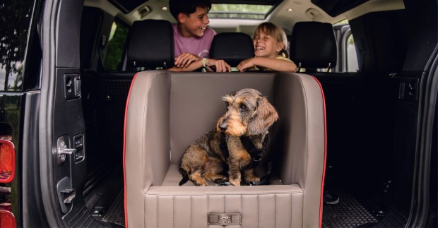 Hundebett im Auto