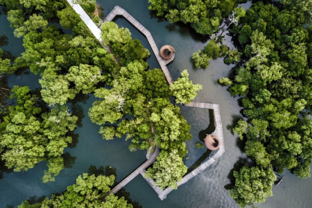 Das Mangrovenschutzgebiet in Singapur aus der Luft fotografiert