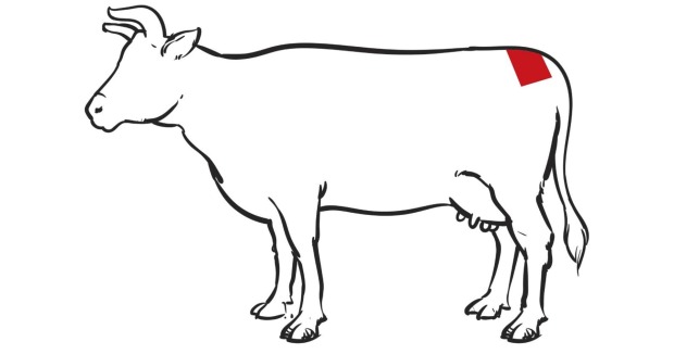 Comic-Illustration eines Rinds, in dem das hintere Stück der Hüfte für "Picanha" farblich mit rot hinterlegt ist.