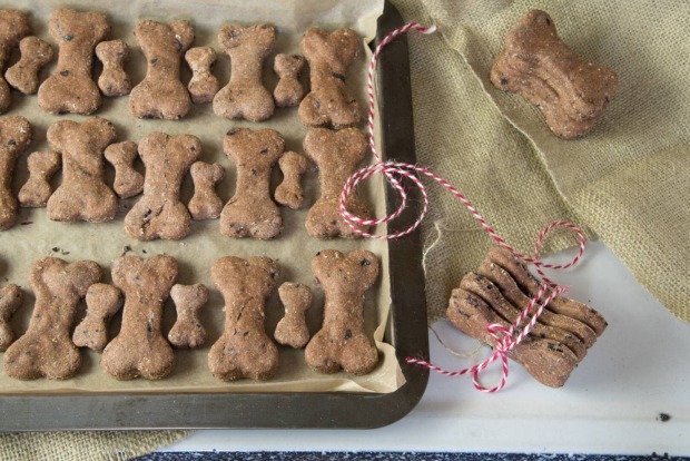 Backblech mit Hundeleckerlis in Form von Knochen
