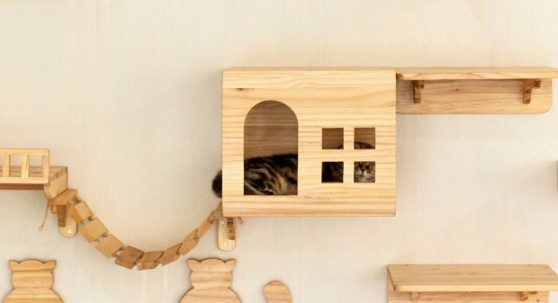 Katze versteckt sich in einem Holzhäuschen an der Wand