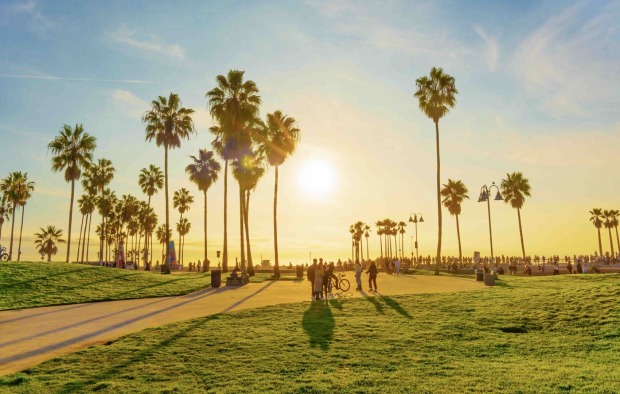 Venice Beach
