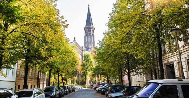 Stellenwert der Bäume