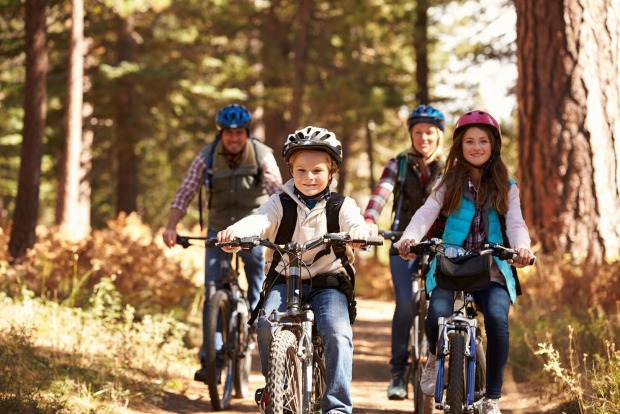 Familie macht Ausflug im Wald | Credit: iStock.com/monkeybusinessimages