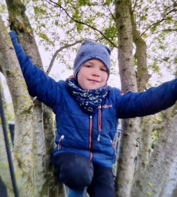 Foto von Arian, wie er in einem Baum sitzt.