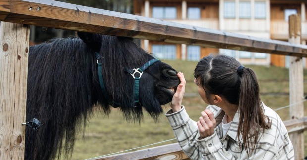 Pony streicheln