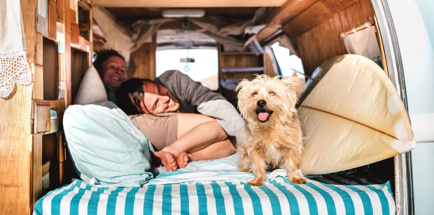 Paar schläft mit Hund im Auto | Credit: iStock.com/ViewApart