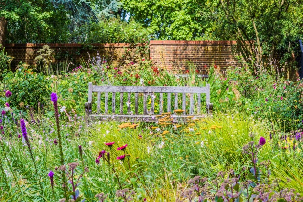 Bank steht mitten in Wildblumen | Credit: iStock.com/Lorenza Marzocchi