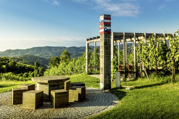 Ein Tisch umgeben von grünen Weinbergen