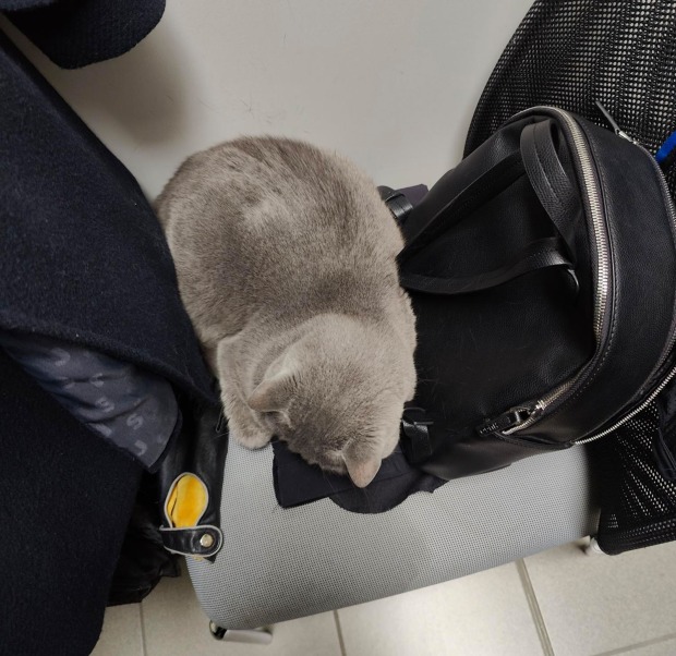 Corona sitzt in einem Rucksack | Credit: Lilli Platzer