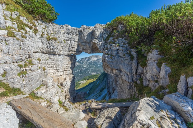 Natürliche Felsformation mit Aussicht auf Wald