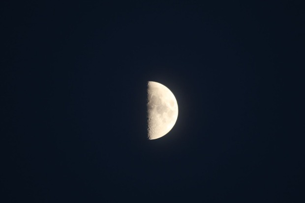 Ein Halbmond am nächtlichen Himmel.