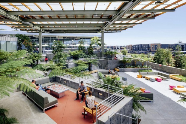 Eine große Terrasse mit Pflanzen