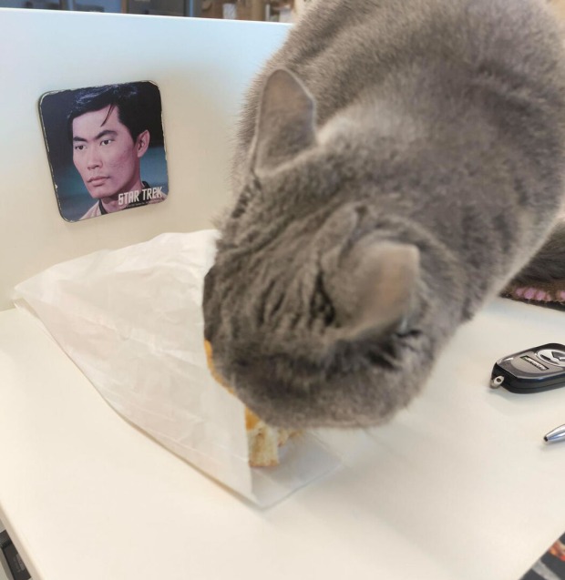 Corona schnuppert am Croissant | Credit: Lilli Platzer