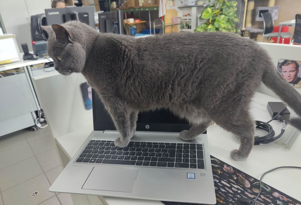 Corona hockt auf einem Notebook | Credit: Lilli Platzer