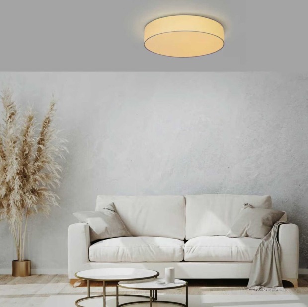 Ein modernes Wohnzimmer mit beiger Couch, Kissen und Decke, dekorativen Trockenpflanzen in einer Vase, runden Couchtischen und einer leuchtenden smarten Deckenlampe an der grauen Decke.