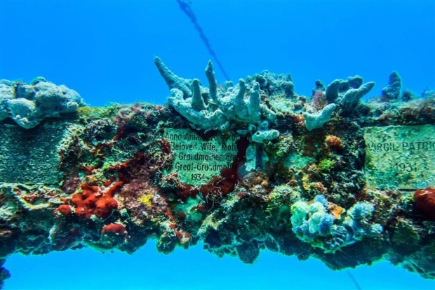 Unterwasserfriedhof mit Korallenbewuchs auf Grabplatten – ein einzigartiger Friedhof unter dem Meer, bei dem Natur und Erinnerung verschmelzen.