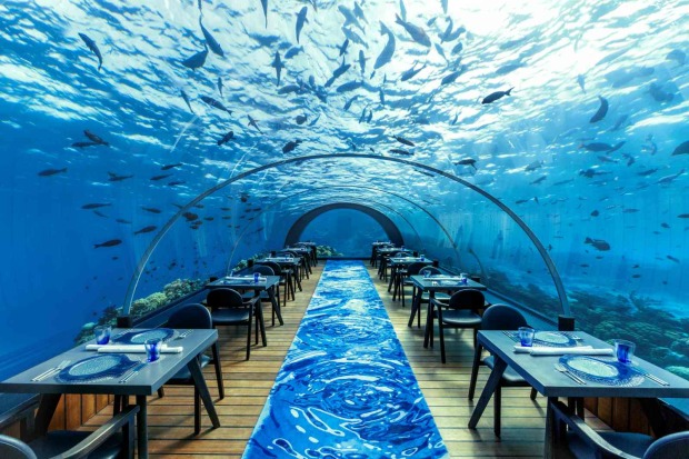 Unterwasserrestaurant mit Glasdach und Blick auf Fische im Meer