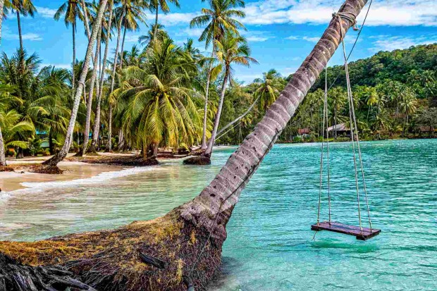 Schaukel an einer schrägen Palme über dem türkisfarbenen Wasser auf Koh Kood, umgeben von tropischem Dschungel.