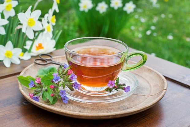 Tasse Kräutertee mit frischen Blüten auf Holztablett im Garten – Hausmittel gegen Halskratzen und Heiserkeit im Frühling