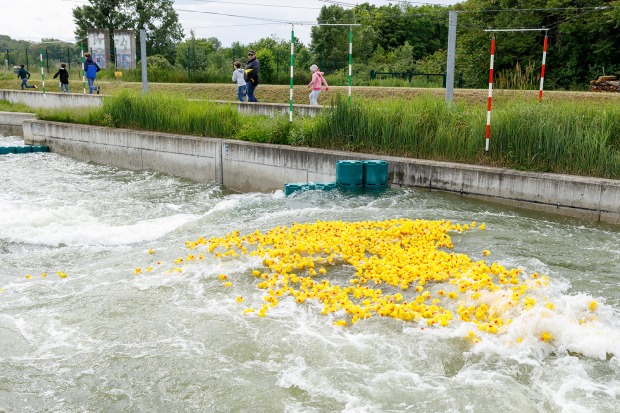 Entenrennen in einem Fluss | Credit: Rotary Club Wien Mozart