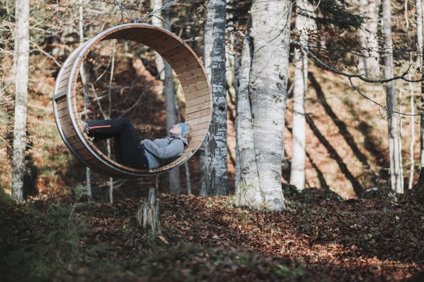 Mitten im Wald | Credit: Florian Egger