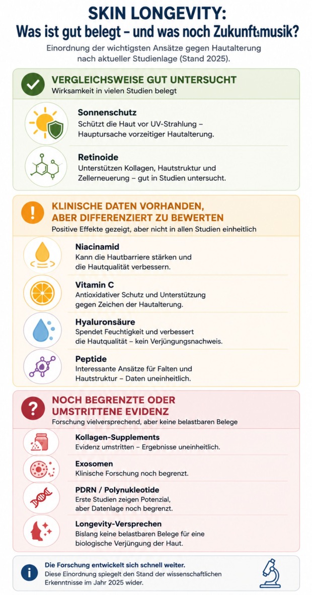 Infografik zur Studienlage bei Skin Longevity mit Sonnenschutz, Retinoiden, Niacinamid, Vitamin C, Hyaluronsäure, Peptiden, Kollagen, Exosomen und PDRN.