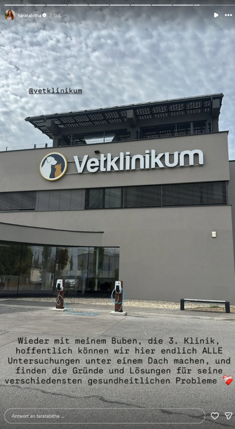 Tara Tabitha teilt auf Instagram ein Foto der Tierklinik, die sie mit ihrem Hund wegen seiner gesundheitlichen Probleme besucht.