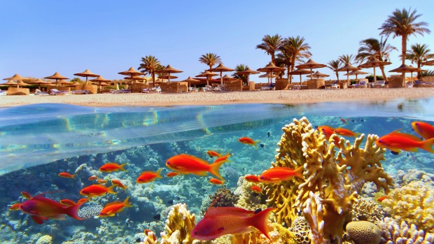 Idyllischer Strand in Ägypten | Credit: Salzburger Flughafen