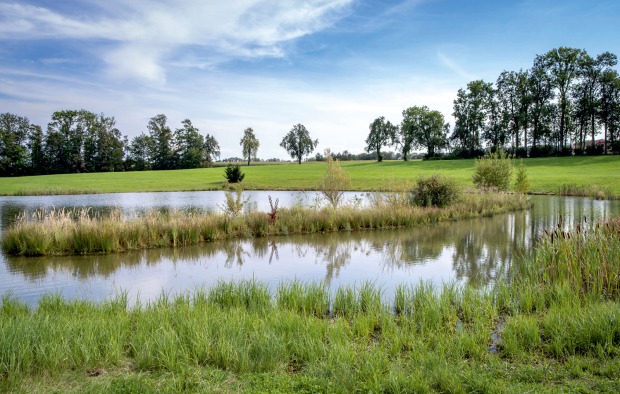Idyllische Landschaft | Credit: Ziegelwerk Eder/Britta Jagsich