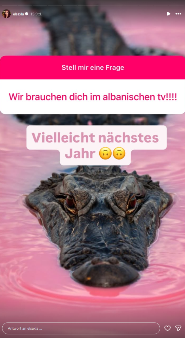 Instagram-Story von Elsa Latifaj: Der Forsthaus-Rampensau-Star verrät auf eine Fanfrage, dass 2026 keine weiteren TV-Auftritte geplant sind.