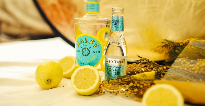 Gin und Tonic mit Zitrone