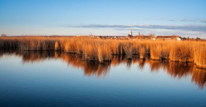 Schilfgürtel bei Rust am Neusiedler See | Credit: iStock.com/xeipe
