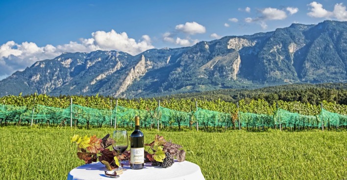 Weingut | Credit: Weingut Reiterhaindl