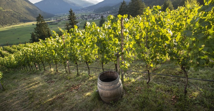 Weingut Flür in Tarrenz