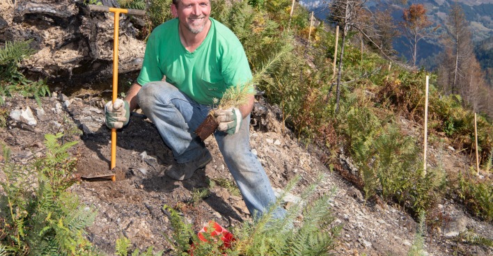 Forstarbeiter mit Setzling im Wald