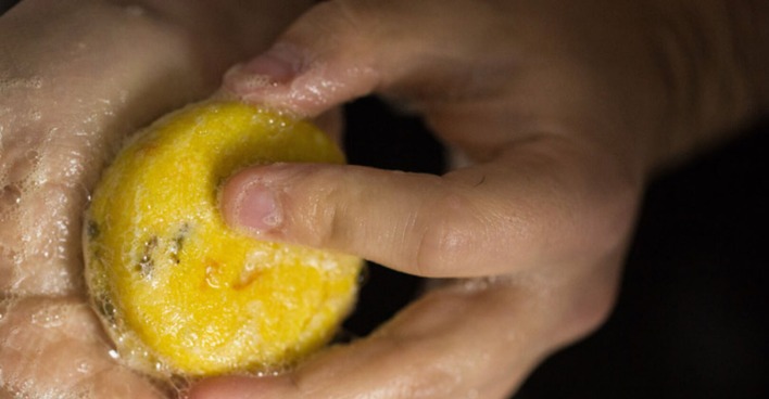 Festes Shampoo von Lush
