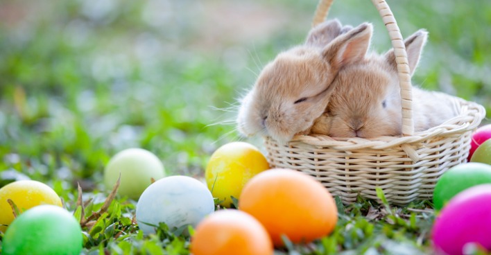 Hase im Osternest | Credit: iStock.com/Sasiistock