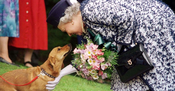 Die Queen mit einem ihrer Corgis