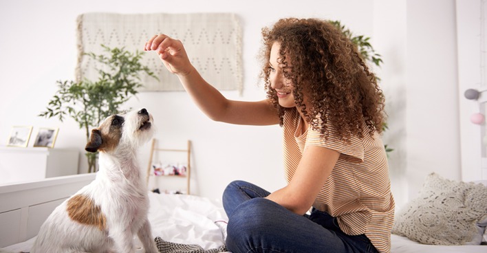 Frau spielt mit Hund im Wohnzimmer. Credit: iStock.com/gpointstudio