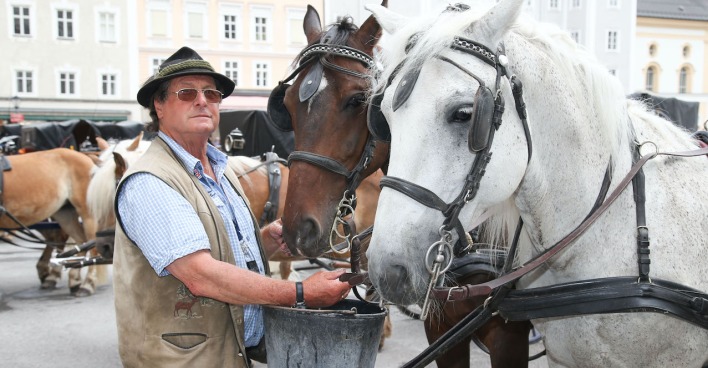Fiaker am Residenzplatz | Credit: Neumayr
